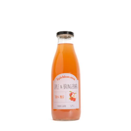 APPLE AND RASPBERRY JUICE